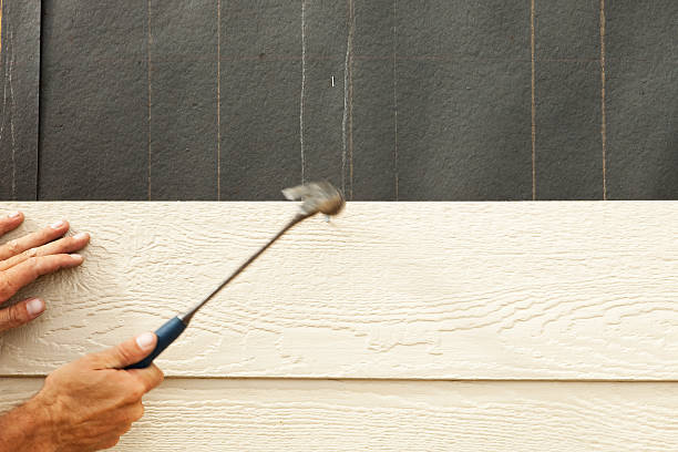 Best Vinyl Siding Installation  in Andover, MN